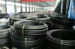 P(pn)ˮpeoˮܵԇ(bio)(zhn)